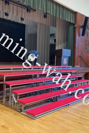 MW-106 304沙鋼框架鋪地毯摺疊梯級